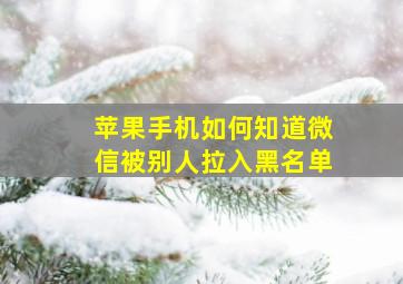 苹果手机如何知道微信被别人拉入黑名单