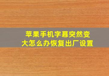 苹果手机字幕突然变大怎么办恢复出厂设置