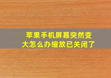 苹果手机屏幕突然变大怎么办缩放已关闭了