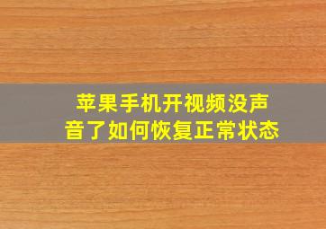 苹果手机开视频没声音了如何恢复正常状态