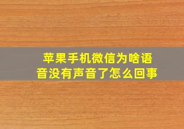 苹果手机微信为啥语音没有声音了怎么回事