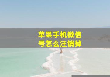 苹果手机微信号怎么注销掉