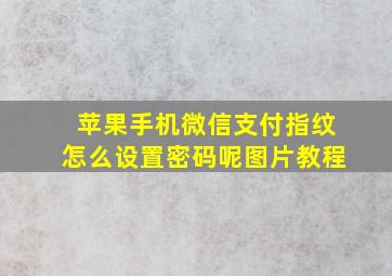 苹果手机微信支付指纹怎么设置密码呢图片教程