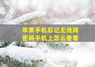 苹果手机忘记无线网密码手机上怎么查看