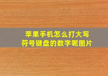 苹果手机怎么打大写符号键盘的数字呢图片