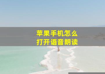 苹果手机怎么打开语音朗读