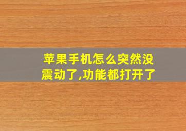 苹果手机怎么突然没震动了,功能都打开了