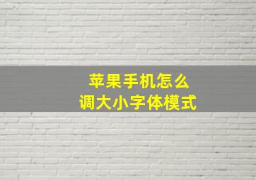 苹果手机怎么调大小字体模式