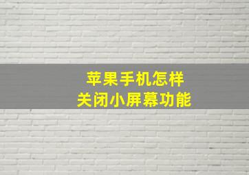 苹果手机怎样关闭小屏幕功能