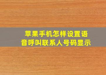 苹果手机怎样设置语音呼叫联系人号码显示