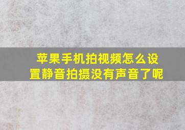 苹果手机拍视频怎么设置静音拍摄没有声音了呢