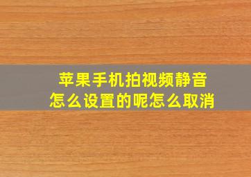 苹果手机拍视频静音怎么设置的呢怎么取消