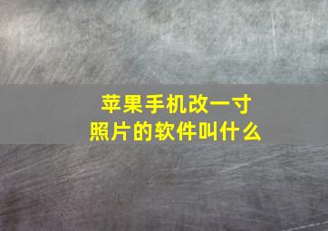 苹果手机改一寸照片的软件叫什么