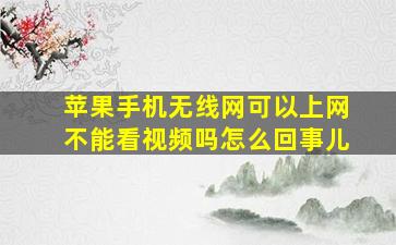 苹果手机无线网可以上网不能看视频吗怎么回事儿