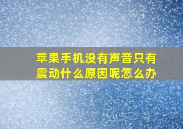 苹果手机没有声音只有震动什么原因呢怎么办