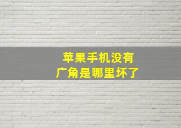 苹果手机没有广角是哪里坏了