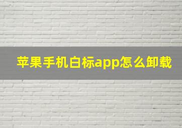 苹果手机白标app怎么卸载