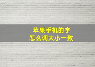 苹果手机的字怎么调大小一致