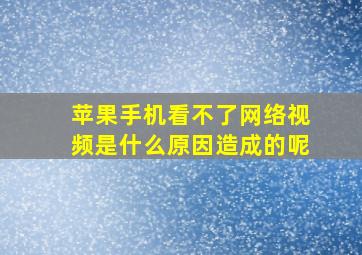 苹果手机看不了网络视频是什么原因造成的呢