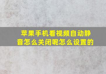 苹果手机看视频自动静音怎么关闭呢怎么设置的