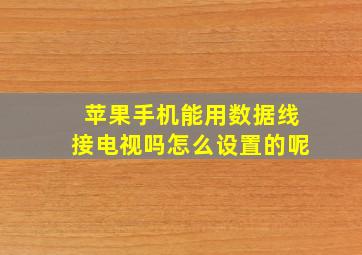 苹果手机能用数据线接电视吗怎么设置的呢