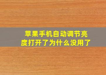 苹果手机自动调节亮度打开了为什么没用了