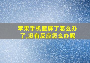 苹果手机蓝屏了怎么办了,没有反应怎么办呢