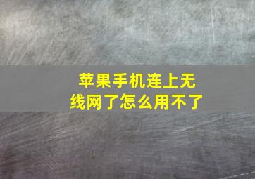 苹果手机连上无线网了怎么用不了