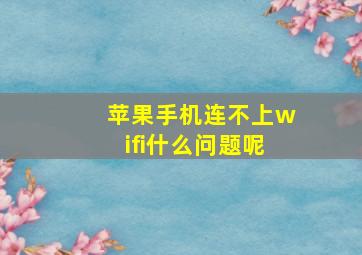 苹果手机连不上wifi什么问题呢