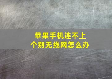 苹果手机连不上个别无线网怎么办