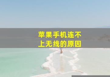 苹果手机连不上无线的原因