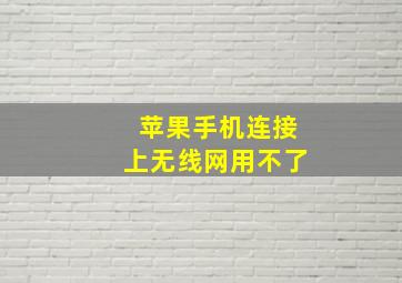 苹果手机连接上无线网用不了