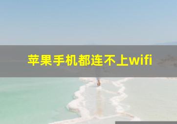 苹果手机都连不上wifi