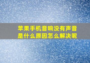 苹果手机音响没有声音是什么原因怎么解决呢