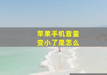 苹果手机音量变小了是怎么