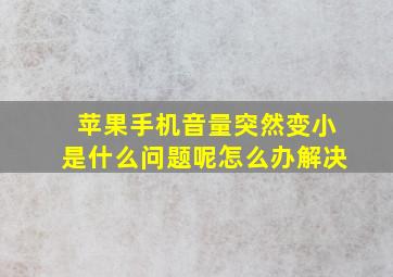 苹果手机音量突然变小是什么问题呢怎么办解决