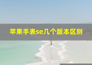 苹果手表se几个版本区别