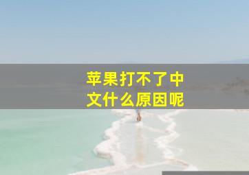 苹果打不了中文什么原因呢