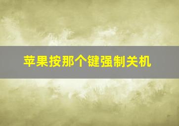 苹果按那个键强制关机