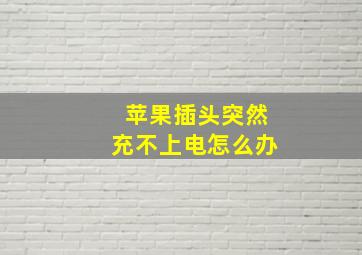 苹果插头突然充不上电怎么办