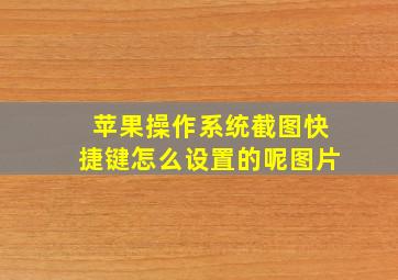 苹果操作系统截图快捷键怎么设置的呢图片