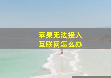 苹果无法接入互联网怎么办