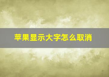 苹果显示大字怎么取消