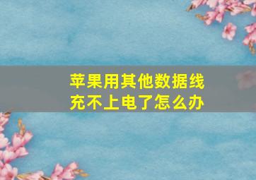 苹果用其他数据线充不上电了怎么办