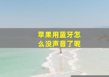 苹果用蓝牙怎么没声音了呢