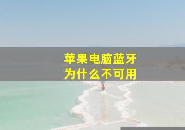 苹果电脑蓝牙为什么不可用