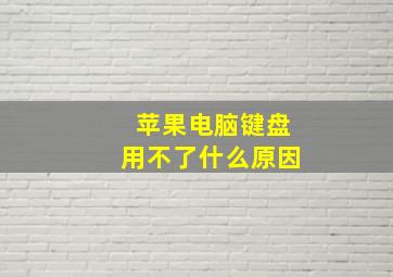 苹果电脑键盘用不了什么原因