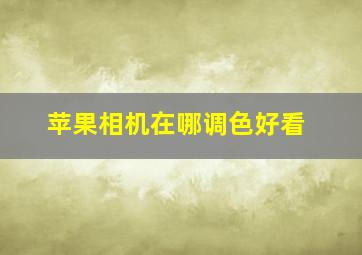 苹果相机在哪调色好看