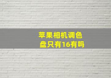 苹果相机调色盘只有16有吗