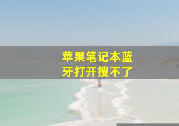 苹果笔记本蓝牙打开搜不了